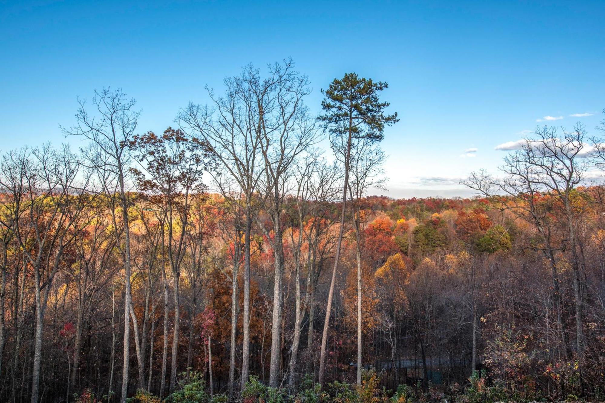 The Treetop Sanctuary Villa Сивиървил Екстериор снимка